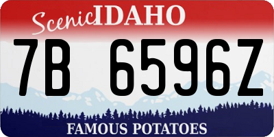ID license plate 7B6596Z