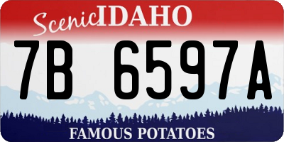 ID license plate 7B6597A