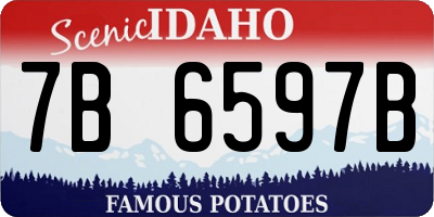 ID license plate 7B6597B