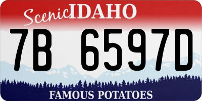 ID license plate 7B6597D