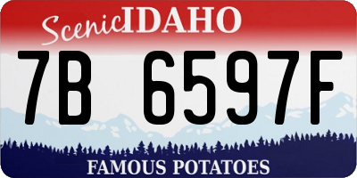ID license plate 7B6597F