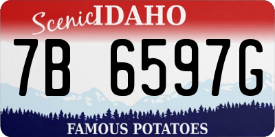 ID license plate 7B6597G