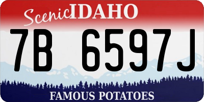 ID license plate 7B6597J