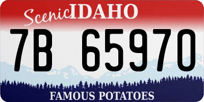 ID license plate 7B6597O