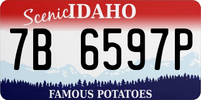 ID license plate 7B6597P