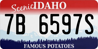 ID license plate 7B6597S