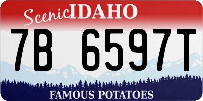 ID license plate 7B6597T