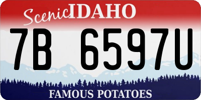 ID license plate 7B6597U