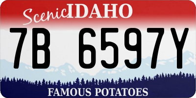 ID license plate 7B6597Y