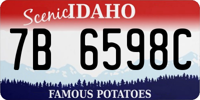 ID license plate 7B6598C