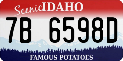 ID license plate 7B6598D