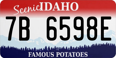 ID license plate 7B6598E