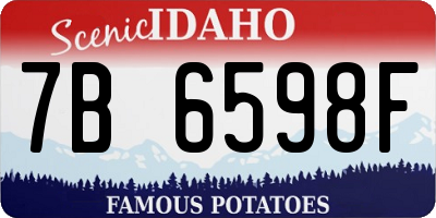 ID license plate 7B6598F