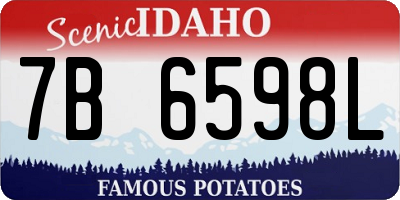 ID license plate 7B6598L