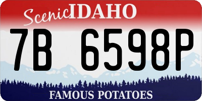 ID license plate 7B6598P
