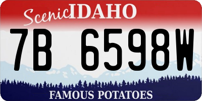 ID license plate 7B6598W
