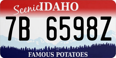 ID license plate 7B6598Z
