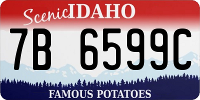 ID license plate 7B6599C