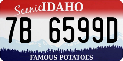 ID license plate 7B6599D