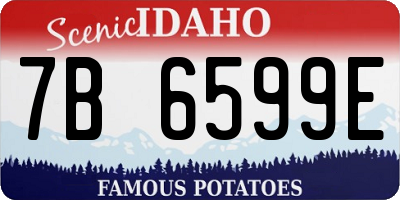 ID license plate 7B6599E