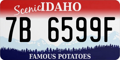 ID license plate 7B6599F
