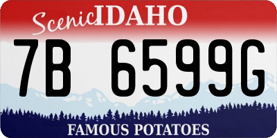 ID license plate 7B6599G