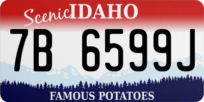 ID license plate 7B6599J