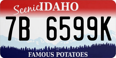 ID license plate 7B6599K