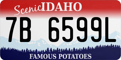 ID license plate 7B6599L