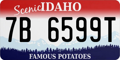 ID license plate 7B6599T