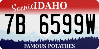 ID license plate 7B6599W