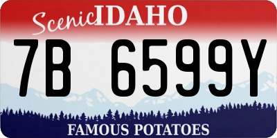ID license plate 7B6599Y