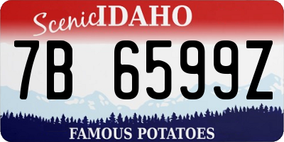 ID license plate 7B6599Z