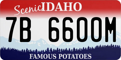 ID license plate 7B6600M