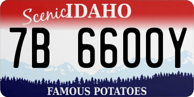 ID license plate 7B6600Y