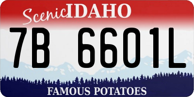 ID license plate 7B6601L