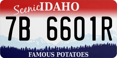 ID license plate 7B6601R