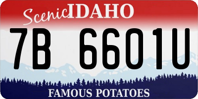 ID license plate 7B6601U