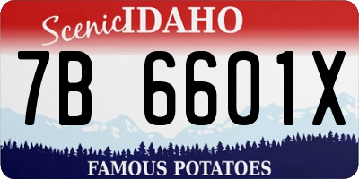 ID license plate 7B6601X