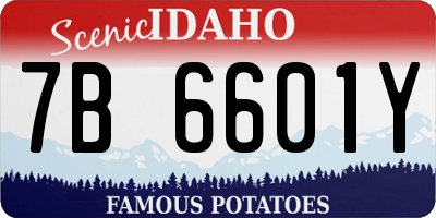ID license plate 7B6601Y