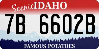 ID license plate 7B6602B