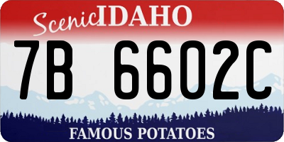 ID license plate 7B6602C