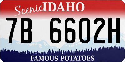 ID license plate 7B6602H