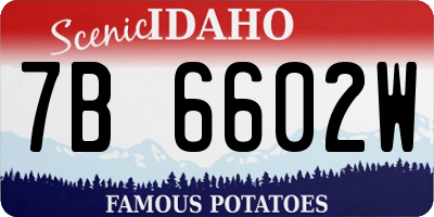 ID license plate 7B6602W