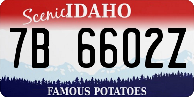 ID license plate 7B6602Z