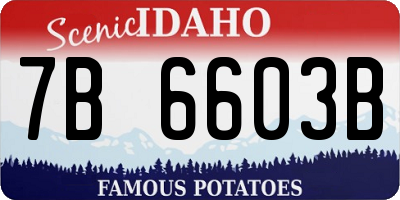 ID license plate 7B6603B