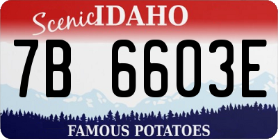 ID license plate 7B6603E