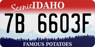 ID license plate 7B6603F