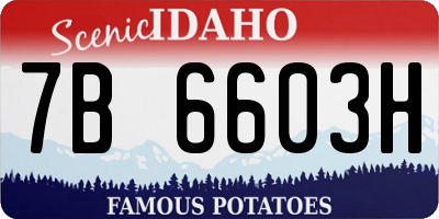 ID license plate 7B6603H