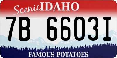 ID license plate 7B6603I